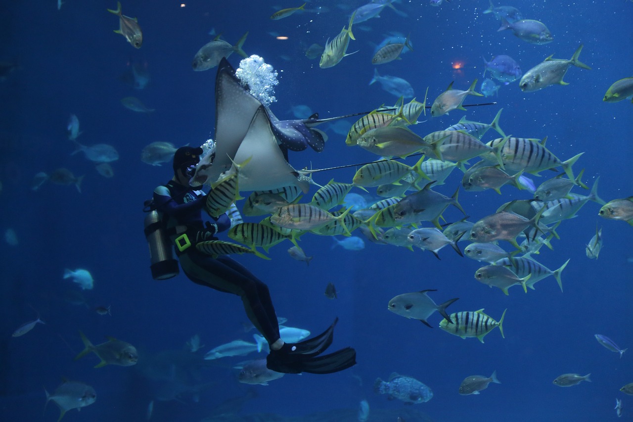 Marine Aquarium Diver